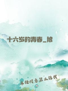 十六岁的青春