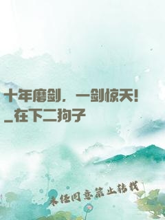 十年磨剑，一剑惊天！