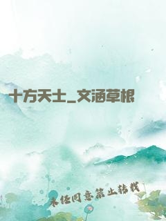 十方天士