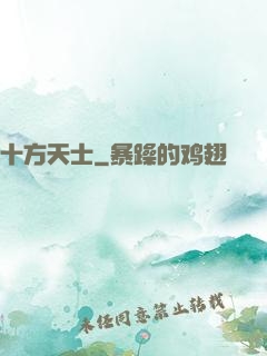 十方天士