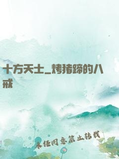 十方天士