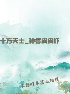 十方天士