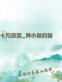 十方武圣