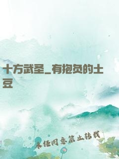 十方武圣