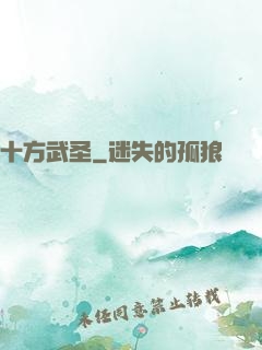 十方武圣