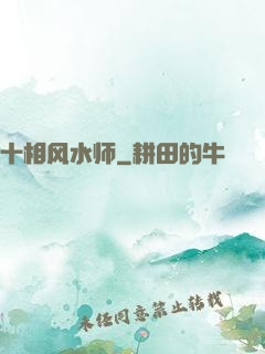 十相风水师