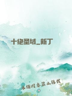 十绝圣域