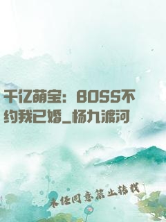 千亿萌宝：BOSS不约我已婚