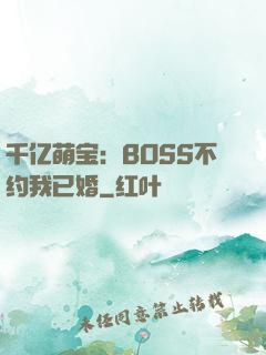 千亿萌宝：BOSS不约我已婚
