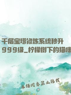千层宝塔修炼系统秒升999级