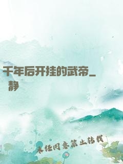 千年后开挂的武帝