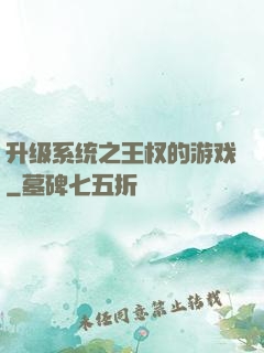 升级系统之王权的游戏