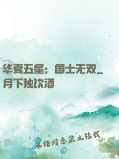 华夏五星：国士无双