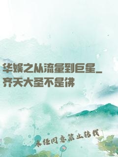 华娱之从流量到巨星