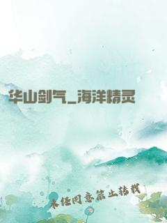 华山剑气