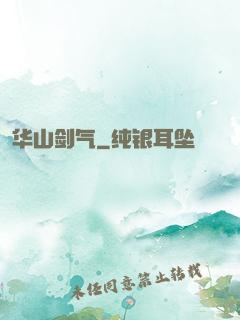 华山剑气