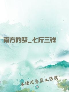 南方的梦
