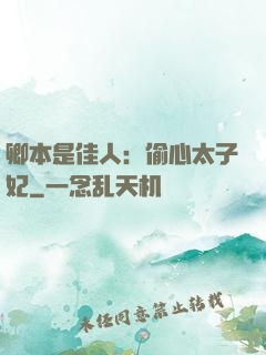 卿本是佳人：偷心太子妃