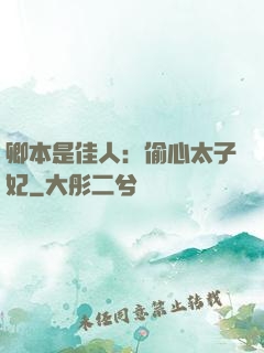 卿本是佳人：偷心太子妃