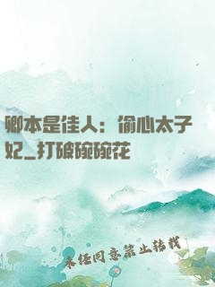 卿本是佳人：偷心太子妃