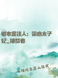 卿本是佳人：偷心太子妃