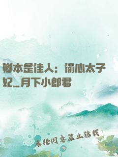 卿本是佳人：偷心太子妃