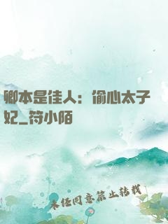 卿本是佳人：偷心太子妃