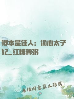 卿本是佳人：偷心太子妃