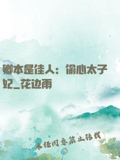 卿本是佳人：偷心太子妃