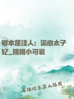卿本是佳人：偷心太子妃