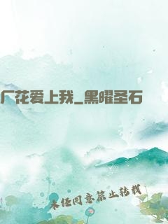 厂花爱上我
