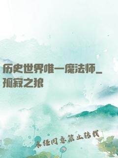 历史世界唯一魔法师