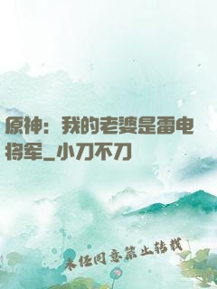 原神：我的老婆是雷电将军
