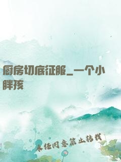 厨房切底征服