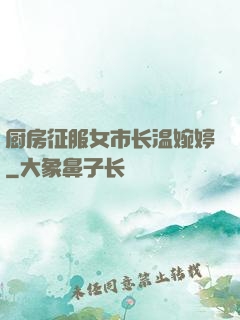 厨房征服女市长温婉婷