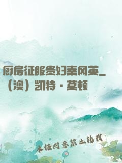 厨房征服贵妇秦风英
