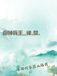 厨神兵王