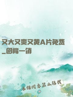 又大又爽又黄A片免费