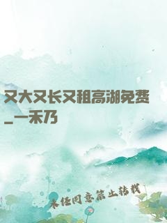 又大又长又租高湖免费