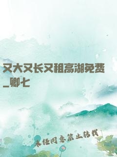 又大又长又租高湖免费