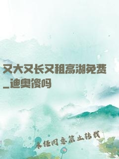 又大又长又租高湖免费