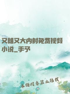 又粗又大内射免费视频小说
