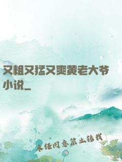 又粗又猛又爽黄老大爷小说