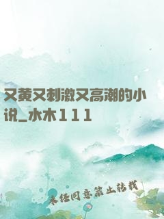 又黄又刺激又高潮的小说