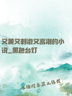 又黄又刺激又高潮的小说