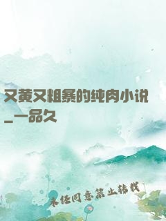 又黄又粗暴的纯肉小说
