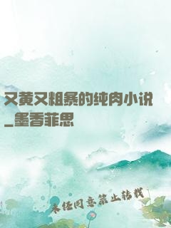 又黄又粗暴的纯肉小说