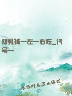 双乳被一左一右吃