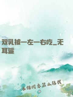 双乳被一左一右吃