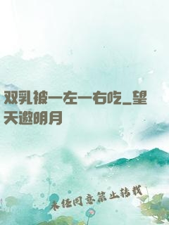 双乳被一左一右吃